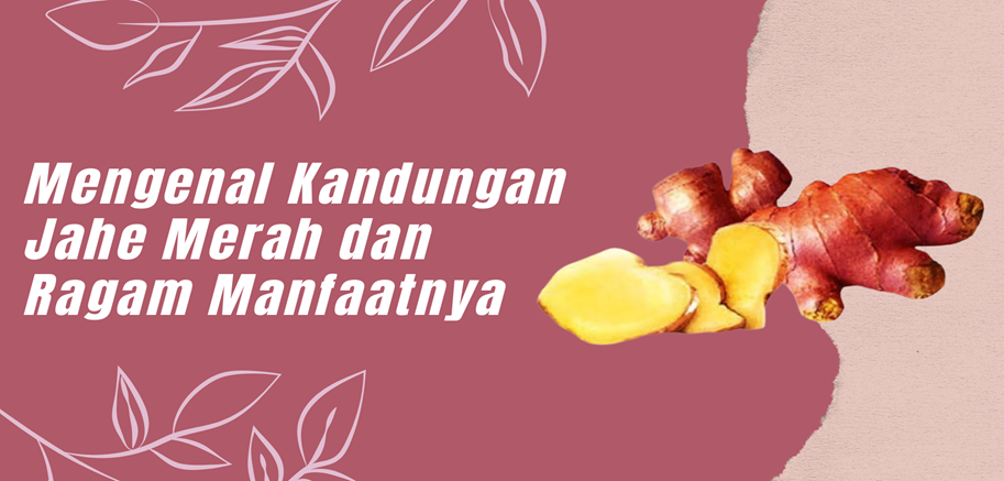 Mengenal Kandungan Jahe Merah dan Ragam Manfaatnya